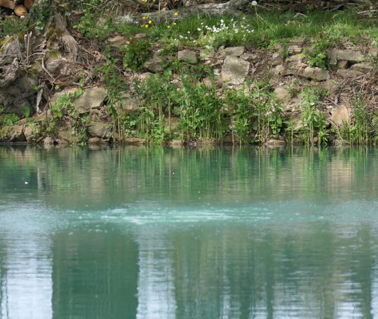Rushes Lake Availability Rushes Lake